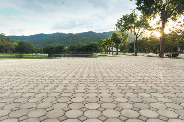 Best Concrete Paver Driveway  in Cana, VA